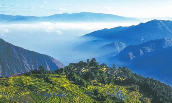 仍在搜救!4名考察队员野外失联,他们进入的哀牢山有多可怕?休闲区蓝鸢梦想 - Www.slyday.coM 仍在搜救!4名考察队员野外失联,他们进入的哀牢山有多可怕?休闲区蓝鸢梦想 - Www.slyday.coM