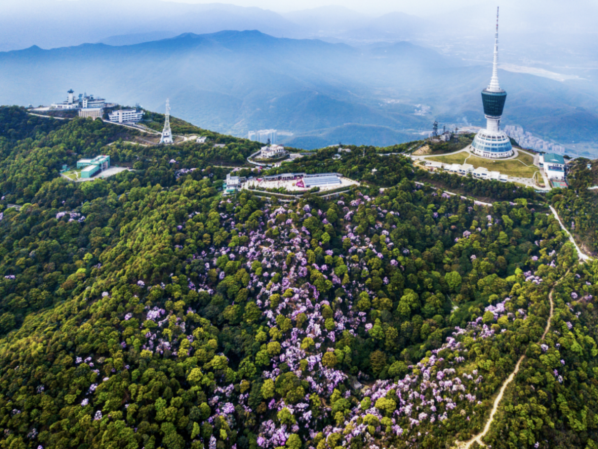 广东十大最美森林旅游目的地揭晓梧桐山国家森林公园上榜