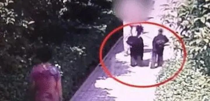 安阳“狗咬老人”事件再起波澜：牵狗女子被指诈骗百万休闲区蓝鸢梦想 - Www.slyday.coM