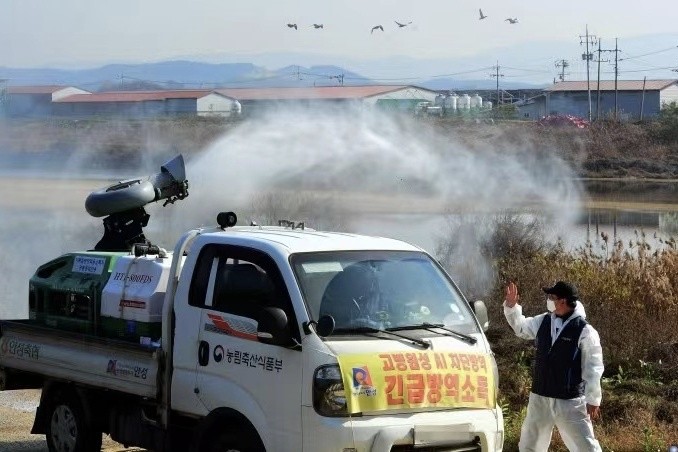 韩国多地接连发生高致病性禽流感