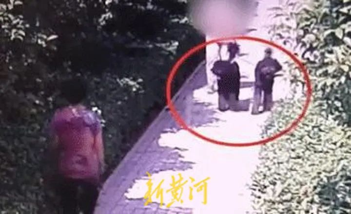 安阳“狗咬人”牵狗女子被指诈骗百万，立案8年未办结休闲区蓝鸢梦想 - Www.slyday.coM