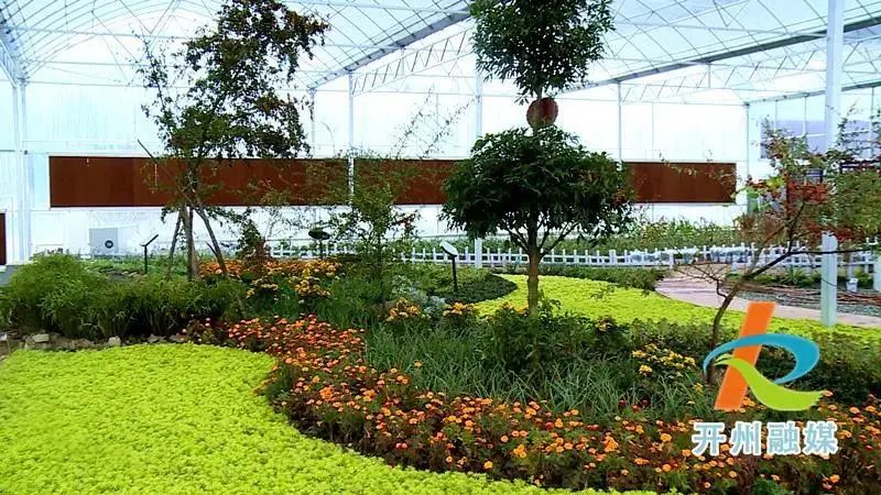 三峡早播休闲区蓝鸢梦想 - Www.slyday.coM