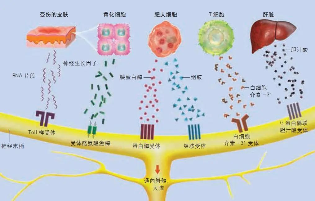 探讨热议：威海足浴店正规吗多少钱？全面解析选择技巧与价格参考