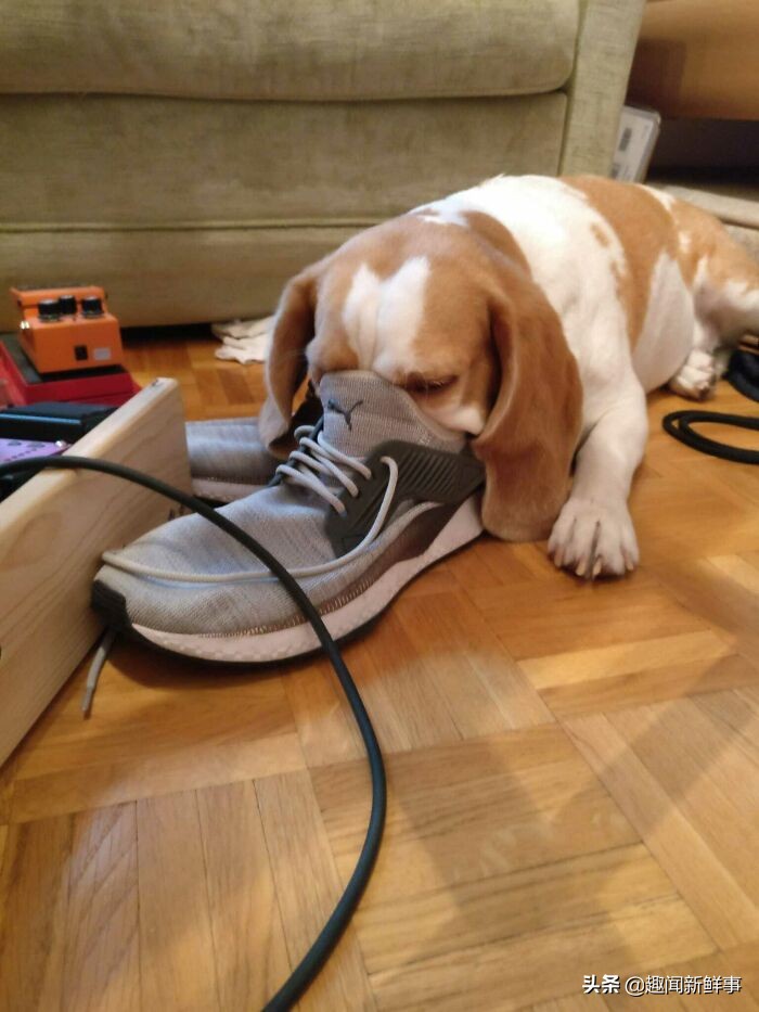 seo关键词排名找谁做