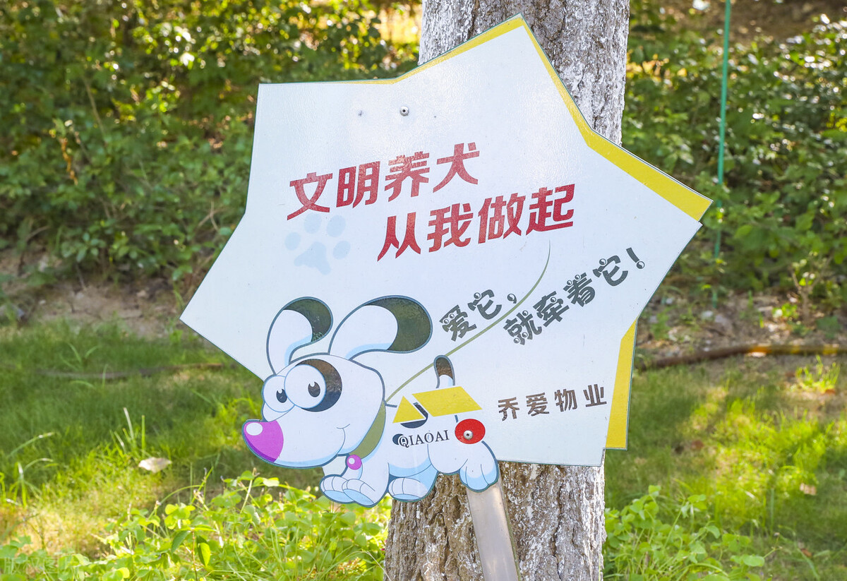 女子坠亡前称要拿命控诉遛狗不牵绳　武汉坠楼女子家属已正式报案休闲区蓝鸢梦想 - Www.slyday.coM