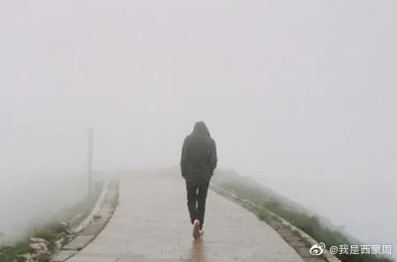 新冠2年，我在140多份流调报告里，看到了中国人最真实的人生休闲区蓝鸢梦想 - Www.slyday.coM