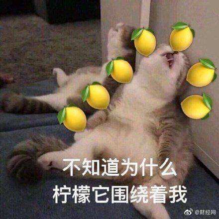 格力电器宣布正式实行双休，格力电器宣布取消所有加班，加班需报主管公司领导批准并备案休闲区蓝鸢梦想 - Www.slyday.coM