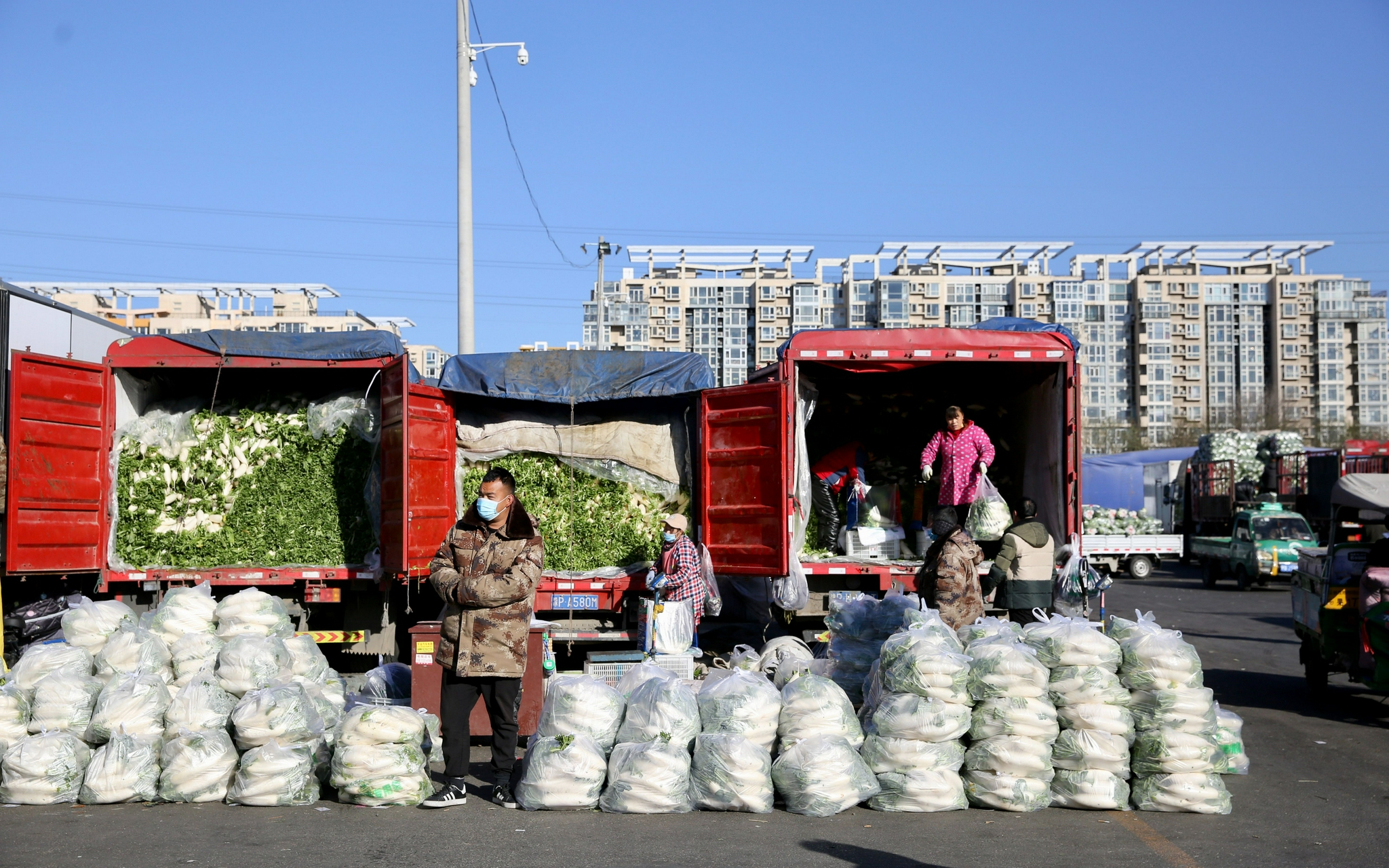 探访|寒潮大风天气,新发地给蔬菜准备了防冻棉被__财经头条