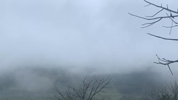 哀牢山4名失联人员找到过程披露，遗体正向接应点转移