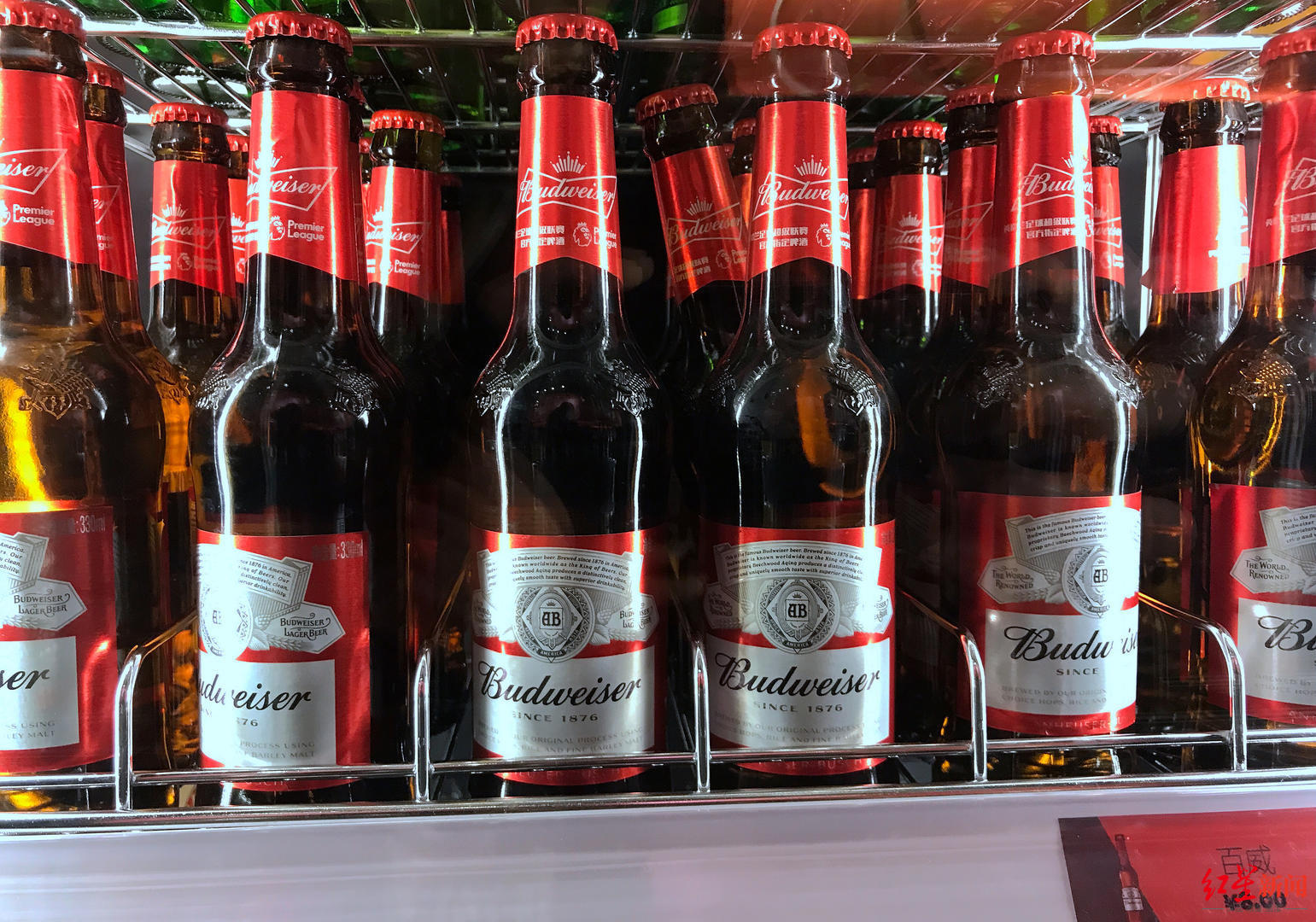 屡罚不改！百威中国因广告含淫秽色情等内容违法，共被罚85万休闲区蓝鸢梦想 - Www.slyday.coM