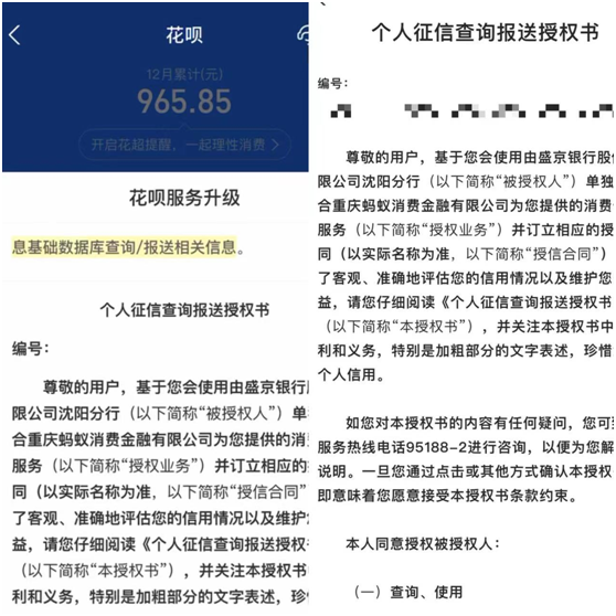 蚂蚁“花呗”正分批升级，或很快落实品牌隔离休闲区蓝鸢梦想 - Www.slyday.coM