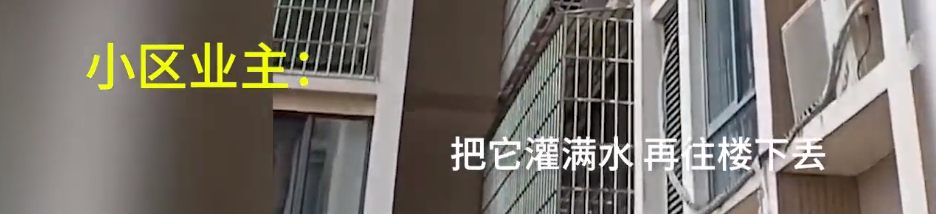 男子拍到邻居从21楼高空抛物，大喊：我终于拍到了！休闲区蓝鸢梦想 - Www.slyday.coM