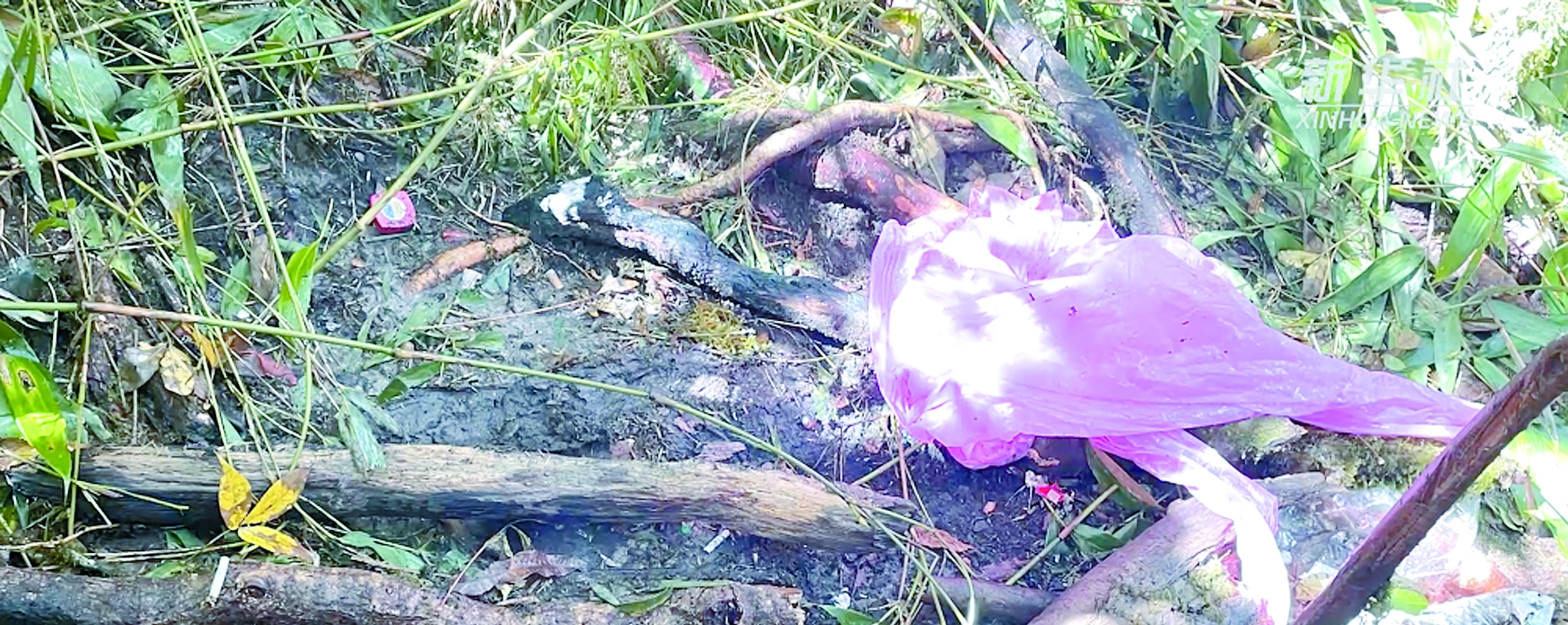 “地质人员云南哀牢山失联”搜救三问休闲区蓝鸢梦想 - Www.slyday.coM