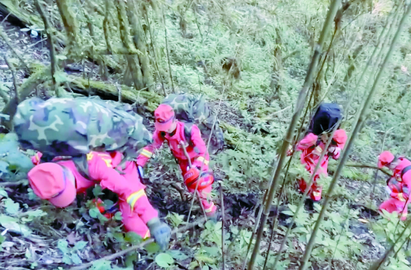 “地质人员云南哀牢山失联”搜救三问休闲区蓝鸢梦想 - Www.slyday.coM