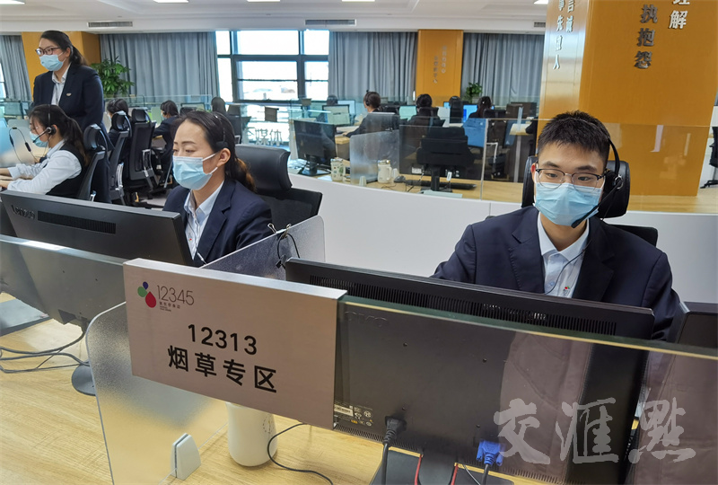 12313交管违章查询