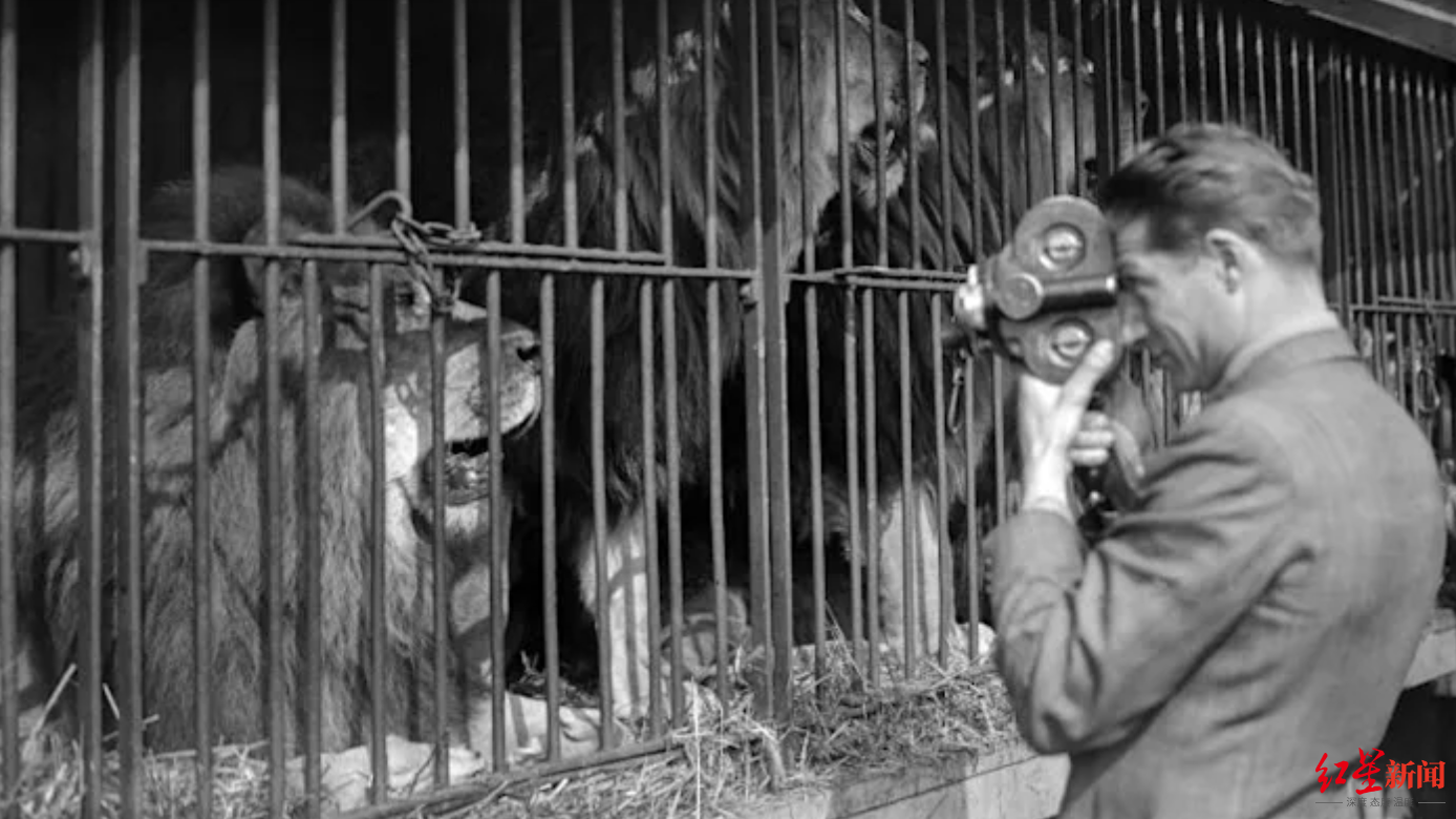 法国立法：2024年起禁止宠物店展示出售猫狗，宠物主人弃养将被严厉处罚休闲区蓝鸢梦想 - Www.slyday.coM