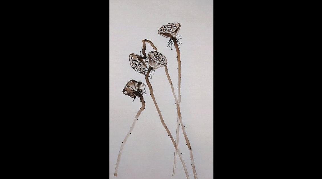 一分钟教你画莲蓬,有方法,国画很简单! 李丹教国画_手机新浪网