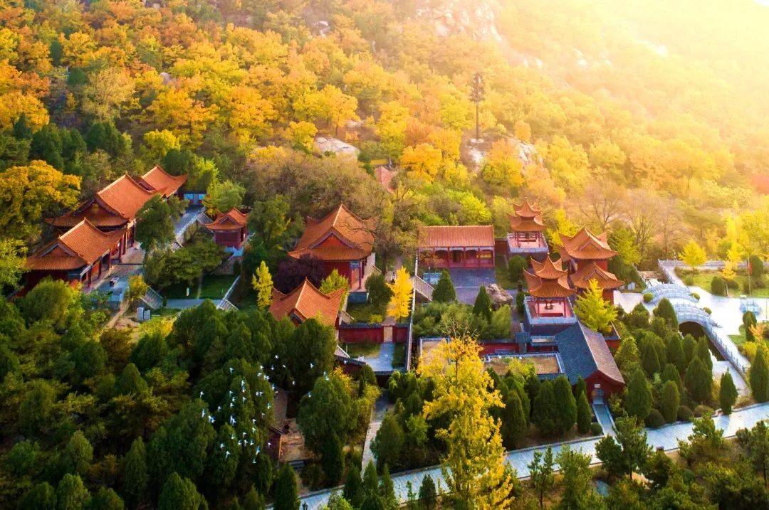 美翻啦听说泰安这些地方的初冬美景让人如痴如醉邀您来共赏