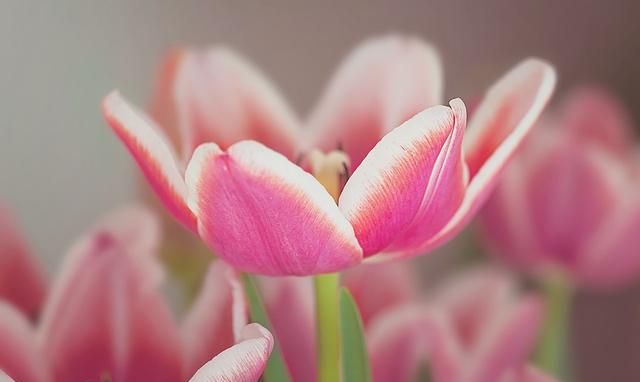 怀孕后，婆婆不来，老公不管，每天自顾自的婚姻，需要维持？休闲区蓝鸢梦想 - Www.slyday.coM