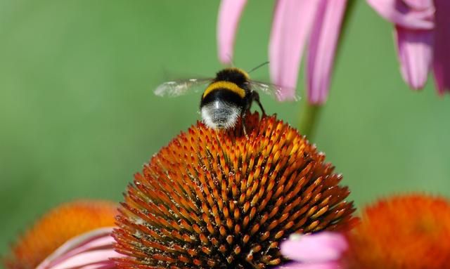 怀孕后，婆婆不来，老公不管，每天自顾自的婚姻，需要维持？休闲区蓝鸢梦想 - Www.slyday.coM