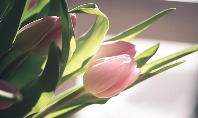 怀孕后，婆婆不来，老公不管，每天自顾自的婚姻，需要维持？休闲区蓝鸢梦想 - Www.slyday.coM