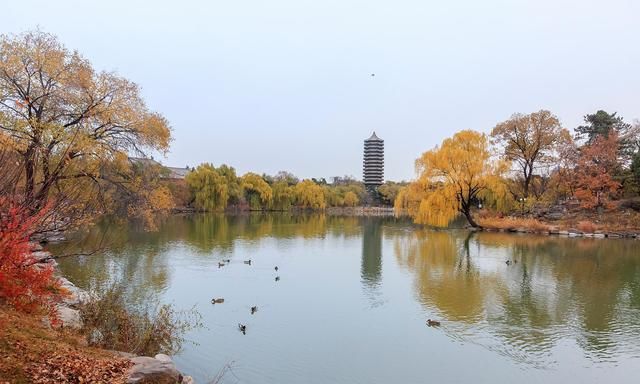 有些孩子不需要家长管,都可以考入好的大学,是因为智商高吗?休闲区蓝鸢梦想 - Www.slyday.coM 有些孩子不需要家长管,都可以考入好的大学,是因为智商高吗?休闲区蓝鸢梦想 - Www.slyday.coM