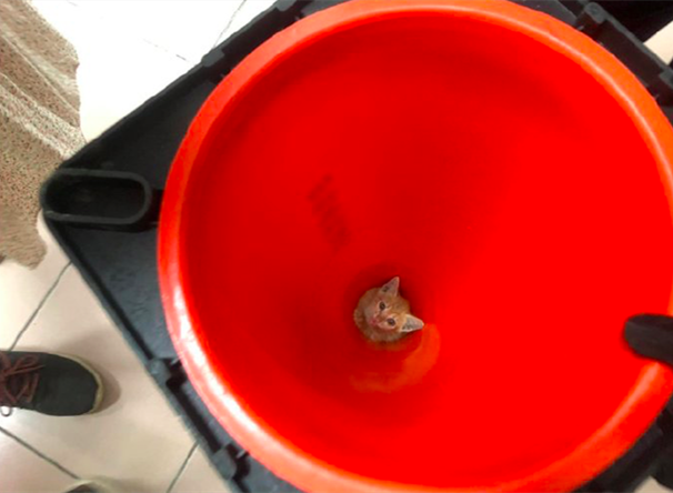 警察收障碍牌的时候,低头看了一眼愣住了:里面怎么有只小可爱?休闲区蓝鸢梦想 - Www.slyday.coM 警察收障碍牌的时候,低头看了一眼愣住了:里面怎么有只小可爱?休闲区蓝鸢梦想 - Www.slyday.coM