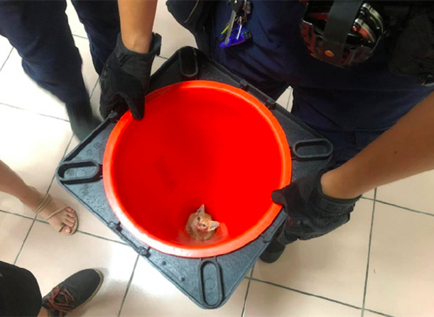 警察收障碍牌的时候,低头看了一眼愣住了:里面怎么有只小可爱?休闲区蓝鸢梦想 - Www.slyday.coM 警察收障碍牌的时候,低头看了一眼愣住了:里面怎么有只小可爱?休闲区蓝鸢梦想 - Www.slyday.coM