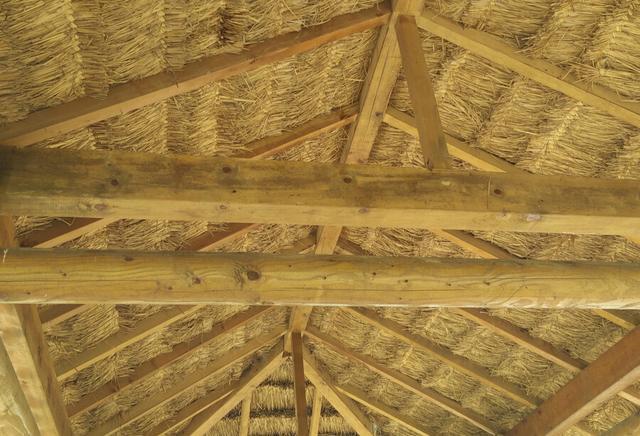 目不晒根口不吞阳是啥意思老祖宗的智慧你怎么看