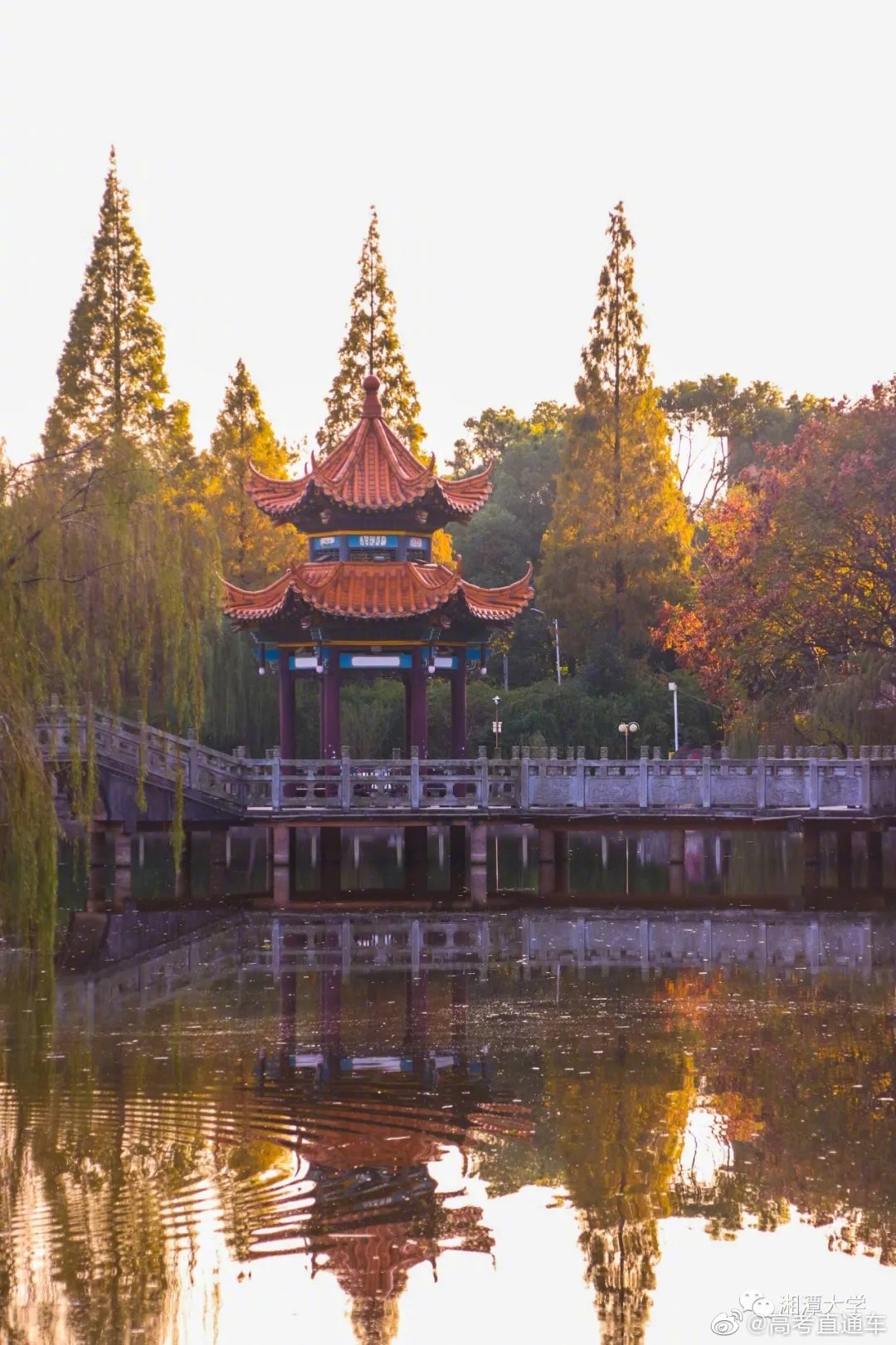 校园风景 | 湘潭大学的秋景