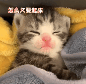 表情包 怎么又要起床,不是刚刚才睡嘛,好烦啊
