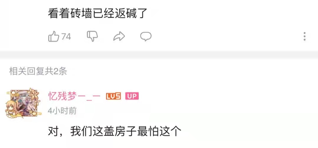 《梦想改造家》132万红砖房疑似反碱，网友实拍房屋后担心受影响休闲区蓝鸢梦想 - Www.slyday.coM