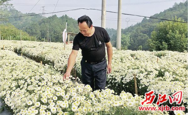 高要河台镇GDP_肇庆市高要区河台镇人民zf2021年拟录用公务员名单公示