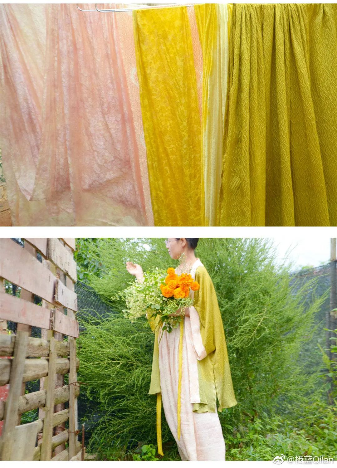 草木,染出最美中国色__财经头条