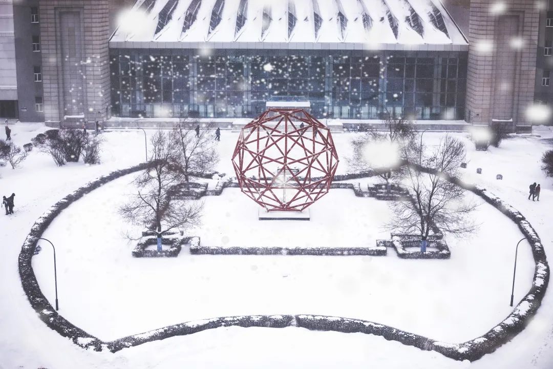 雪落象牙塔哈工大的雪如梦如画