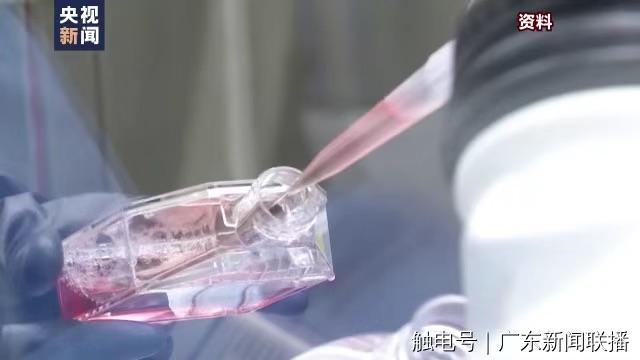 本土新增5+2！深圳三院参与研发，这款新冠特效药即将上市休闲区蓝鸢梦想 - Www.slyday.coM