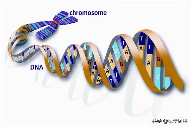 nature杂志基因组测序20周年的里程碑事件