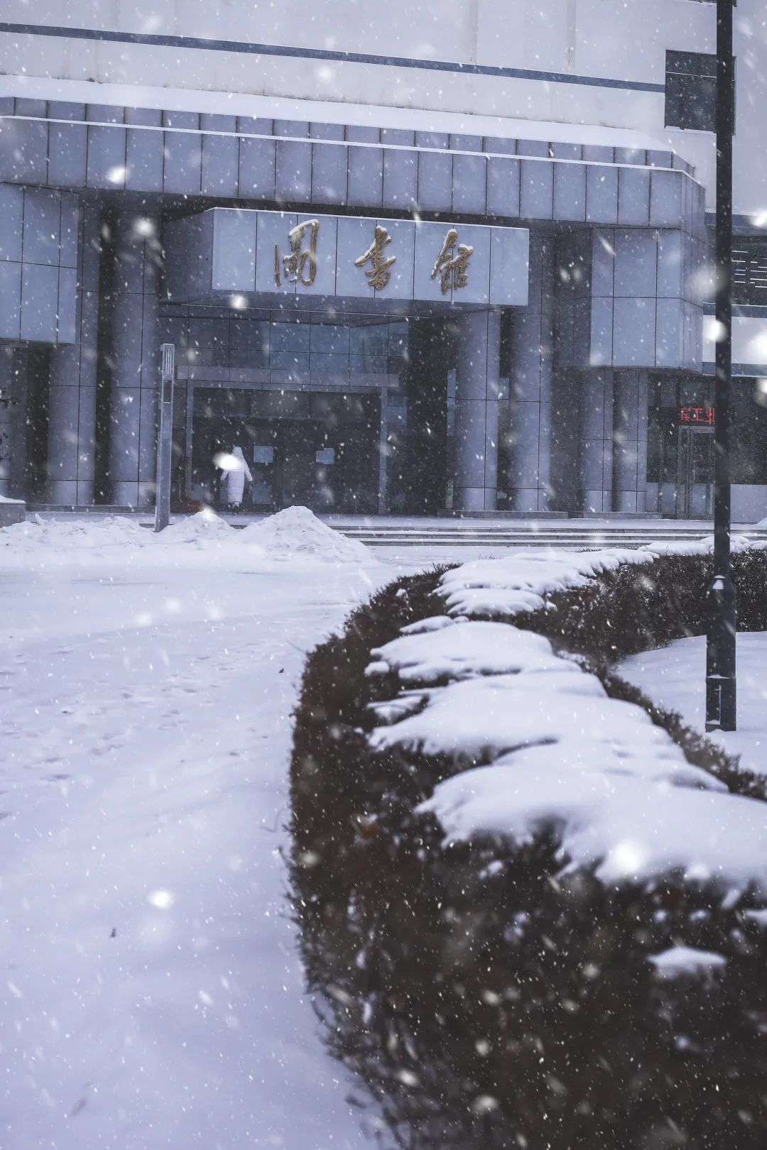 雪落象牙塔哈工大的雪如梦如画