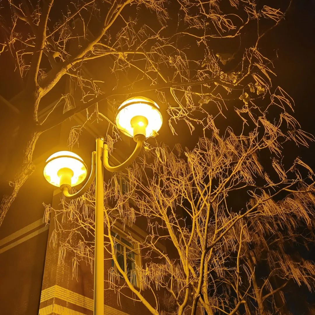 温暖东师 | 用灯光点亮校园生活