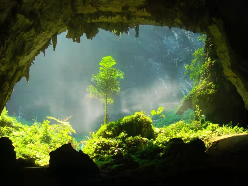 巴马百魔洞景区 (央广网发 巴马瑶族自治县文化广电体育和旅游局供图)