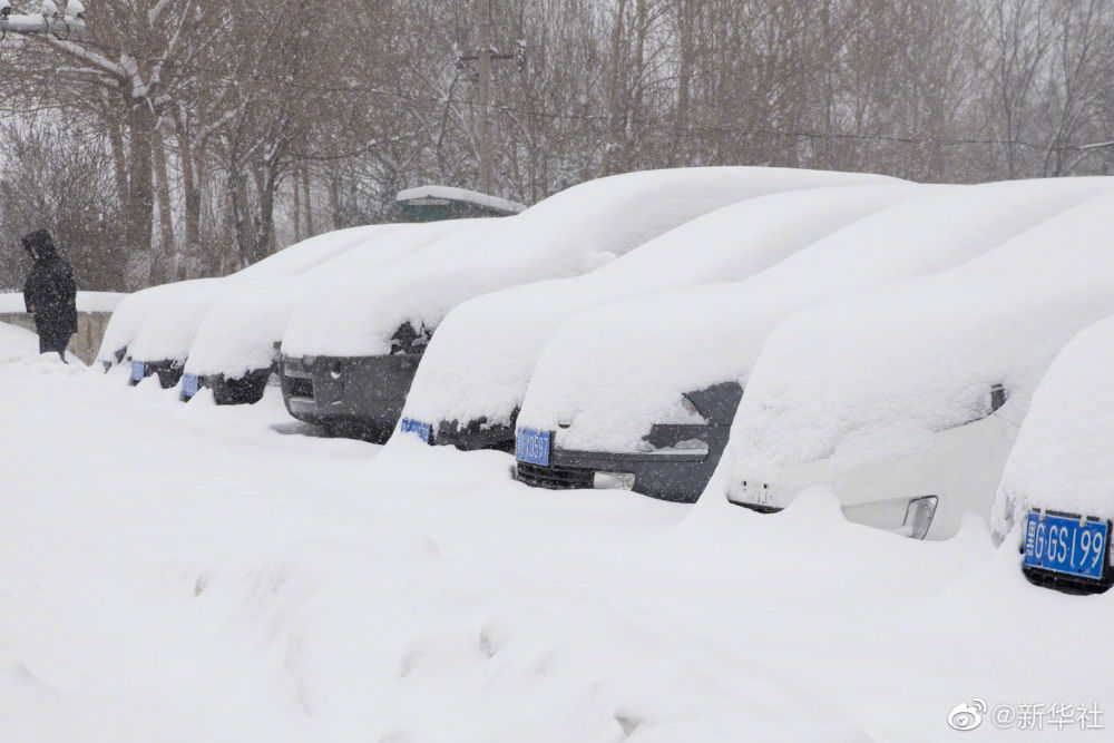黑龙江多地出现暴雪天气