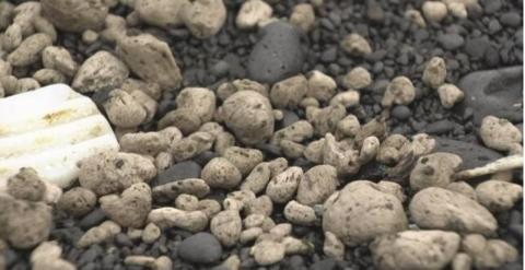 大量浮石出现在东京附近海面 日本将花70亿日元清理休闲区蓝鸢梦想 - Www.slyday.coM