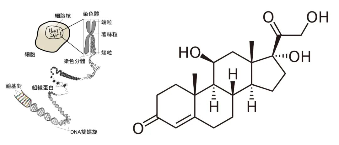 福岛核事故十年后，“禁区” 里的野猪们怎么样了？休闲区蓝鸢梦想 - Www.slyday.coM