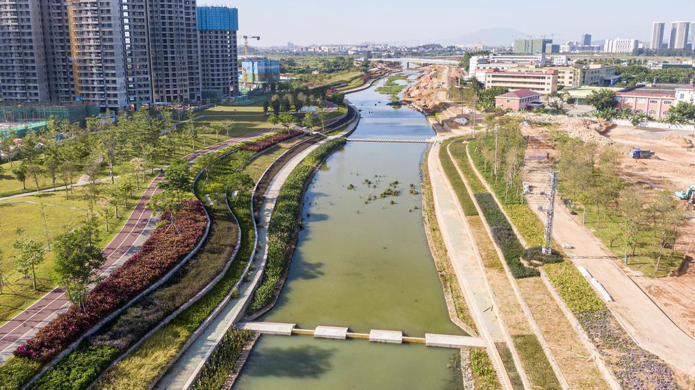 东莞谢岗高效建设万里碧道工程,打造人水和谐相依鲜活范例|截洪渠|谢岗|谢岗镇_新浪新闻