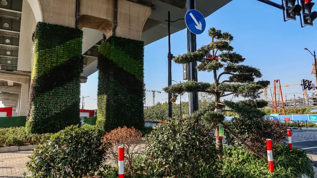 【提示】高架桥墩开启"美颜"模式,两港大道快速化中段垂直绿化完工