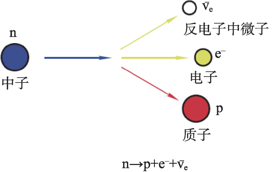 图1 费米β衰变弱相互作用过程(图2),奠定了弱相互作用理论的基础.