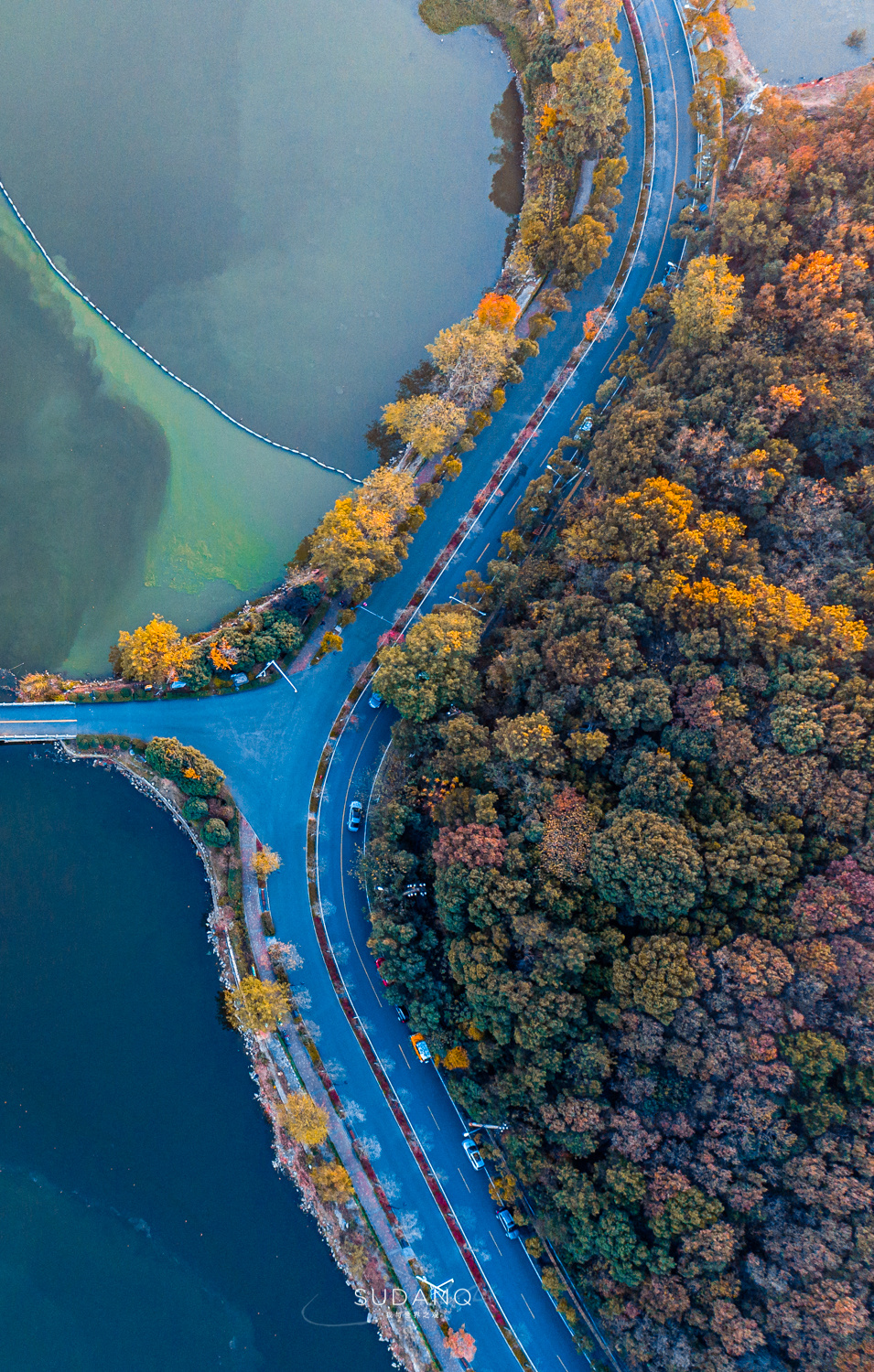 航拍东湖武汉处处是风景