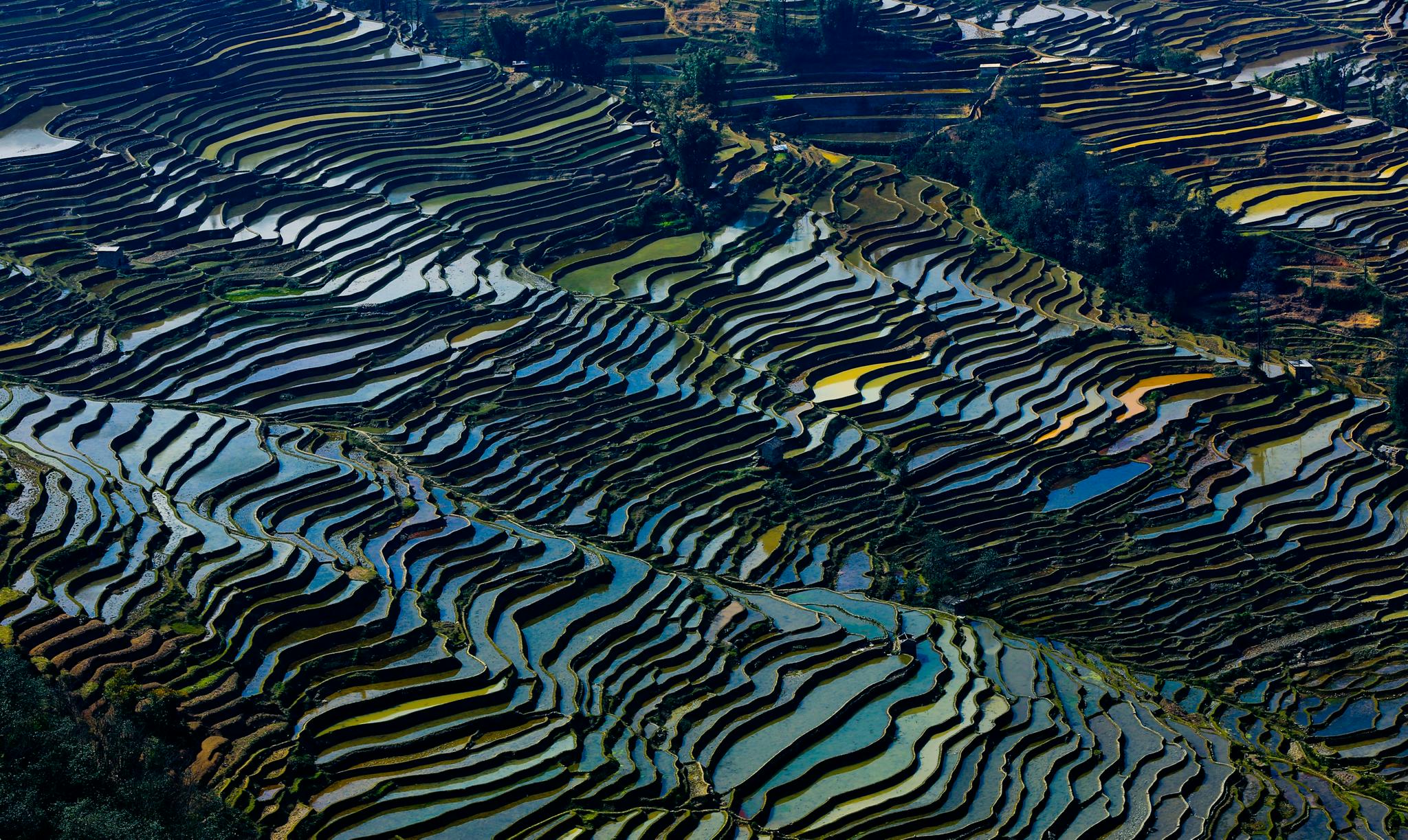 森林资源丰富的云南哀牢山也是横断山脉和云贵高原的地理分界线