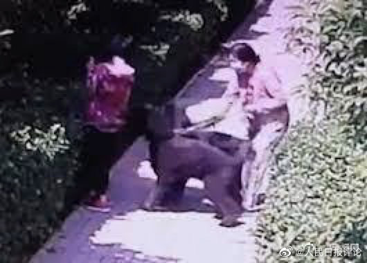 人民日报评“狗咬人”结果：处理过后别忘举一反三休闲区蓝鸢梦想 - Www.slyday.coM