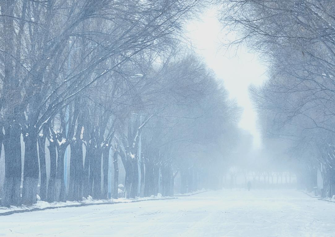 【雪落象牙塔】哈师大:冰天雪地换新颜